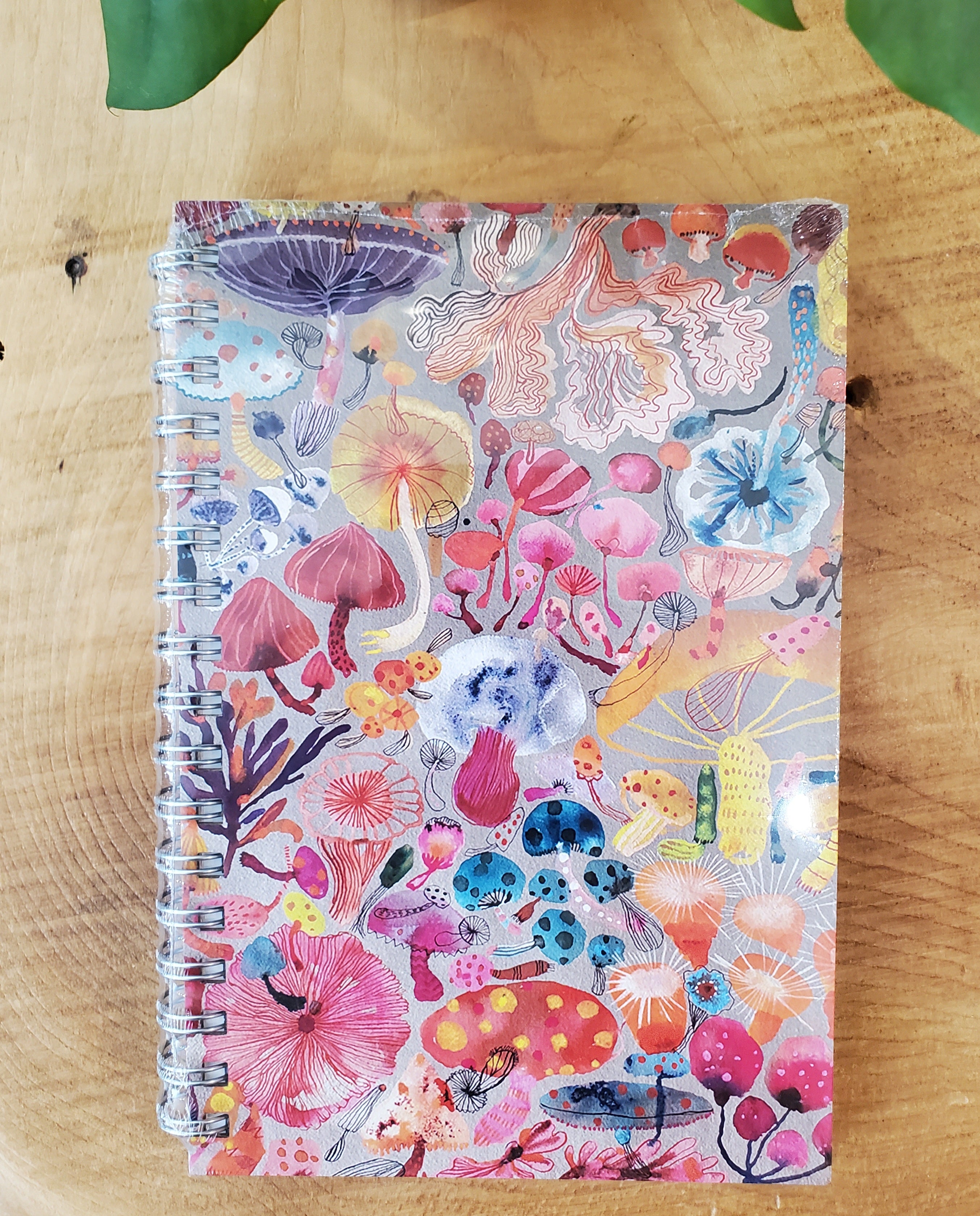 Journals (80 pages)
