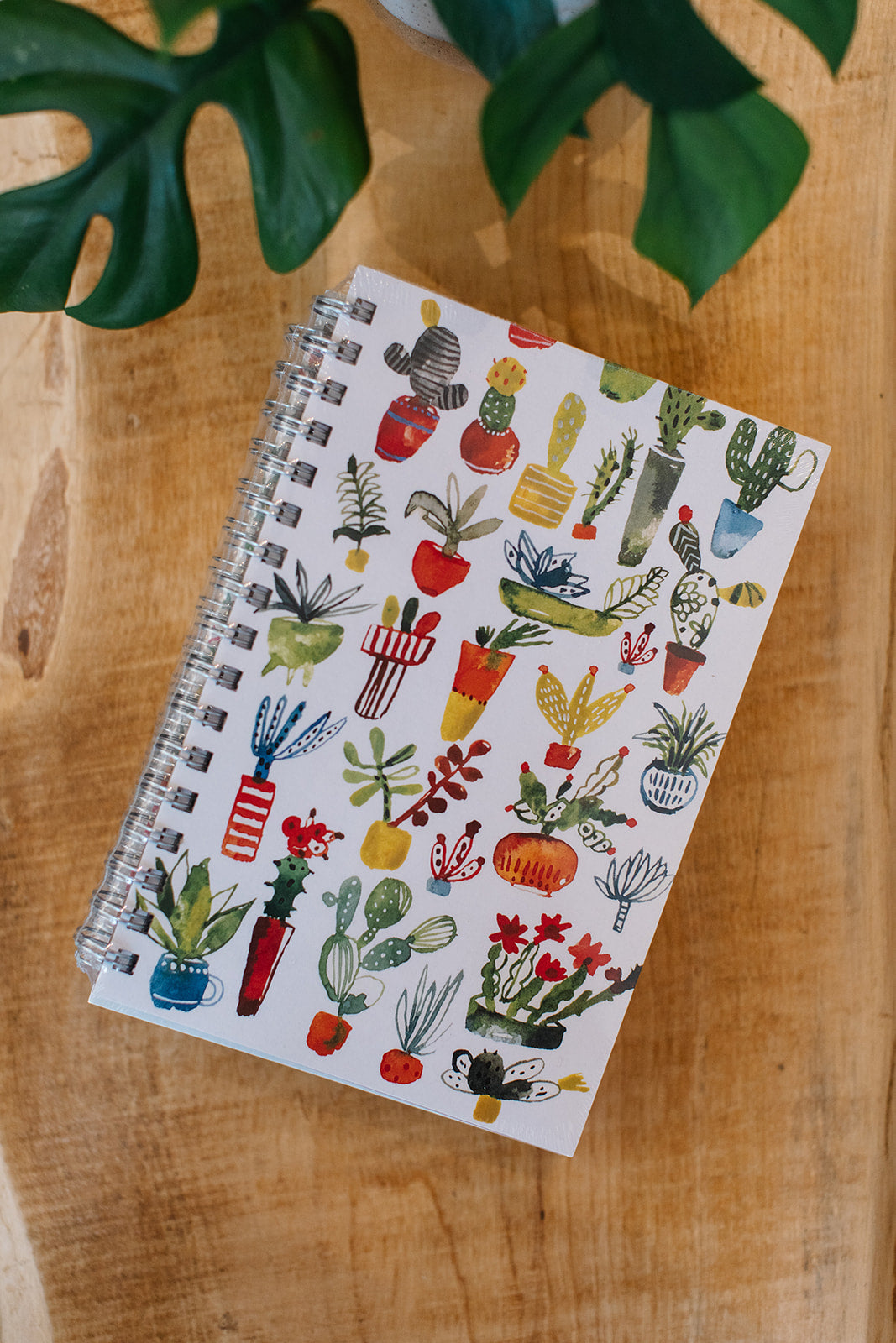 Journals (80 pages)