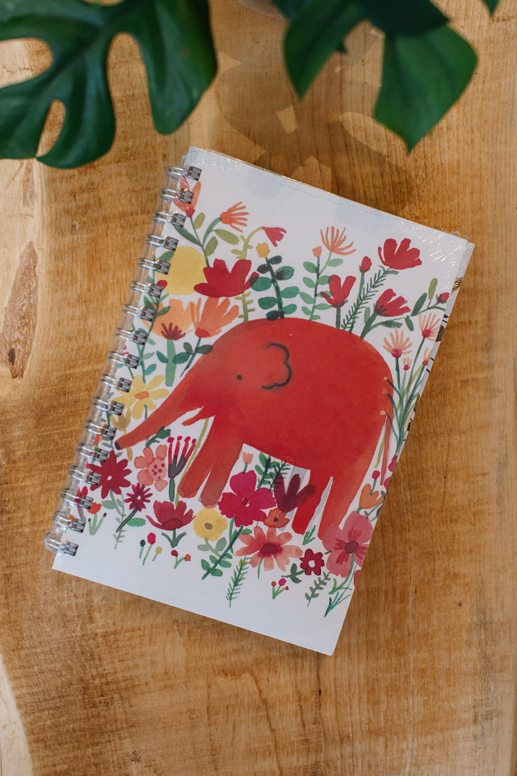 Journals (80 pages)