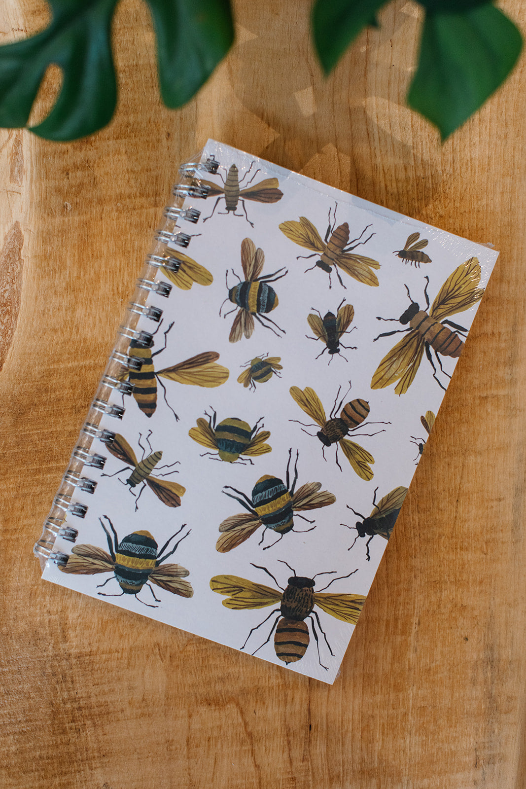 Journals (80 pages)