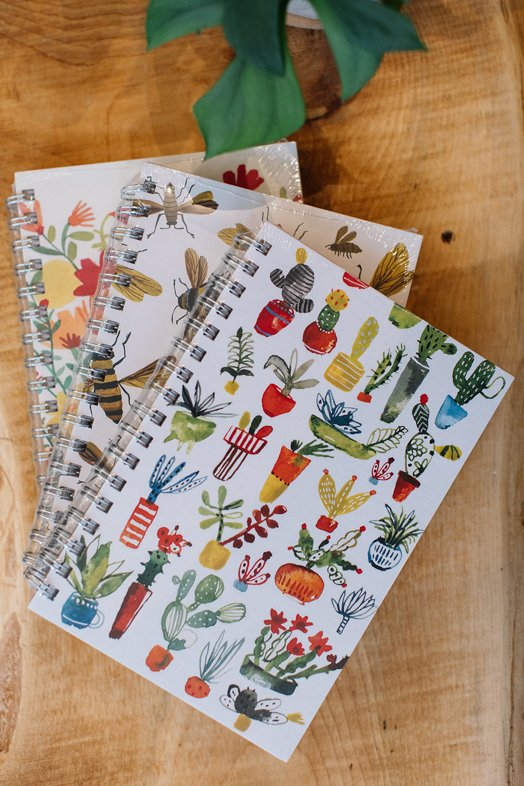 Journals (80 pages)