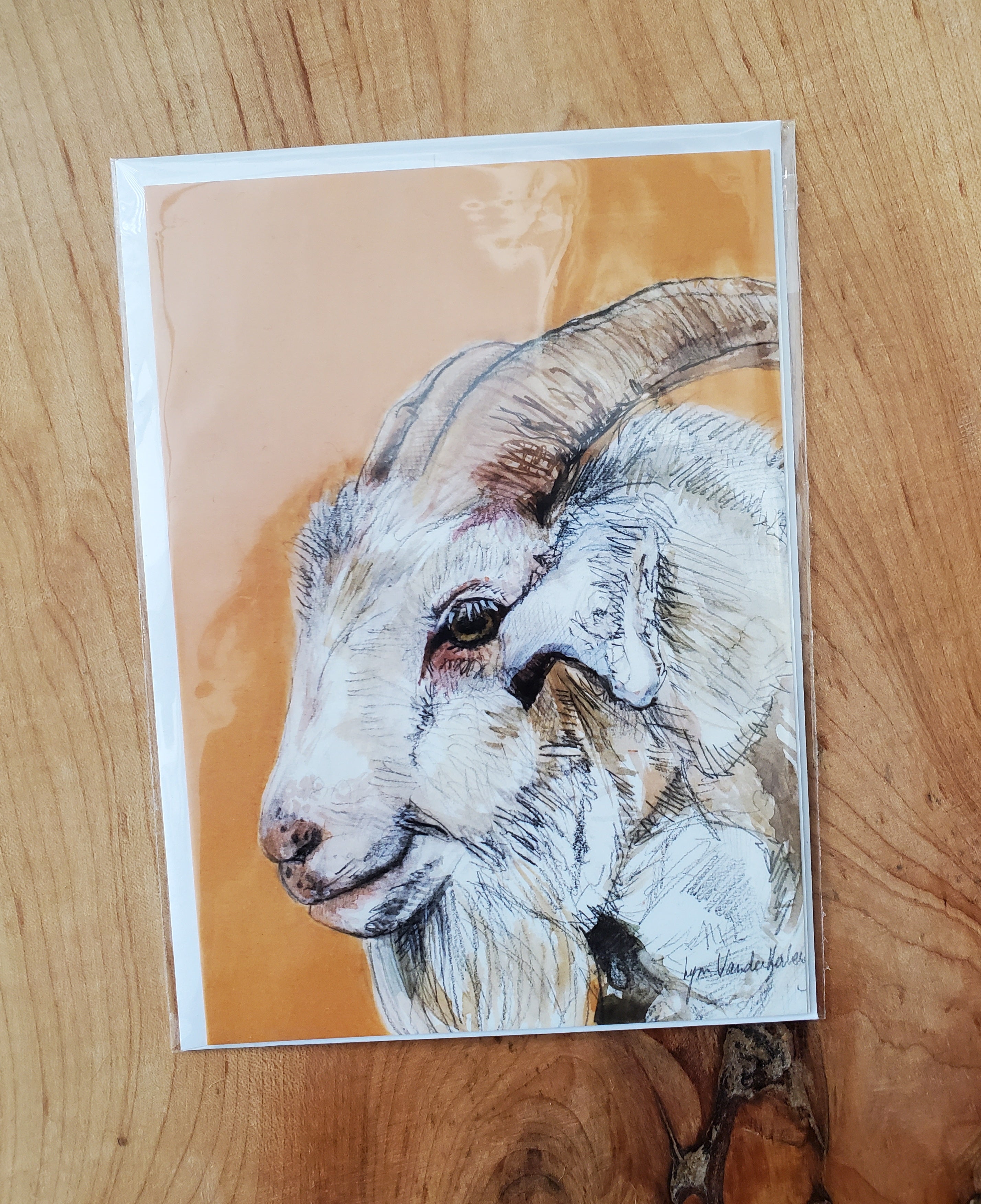 Lynn Vanderherberg Greeting Cards