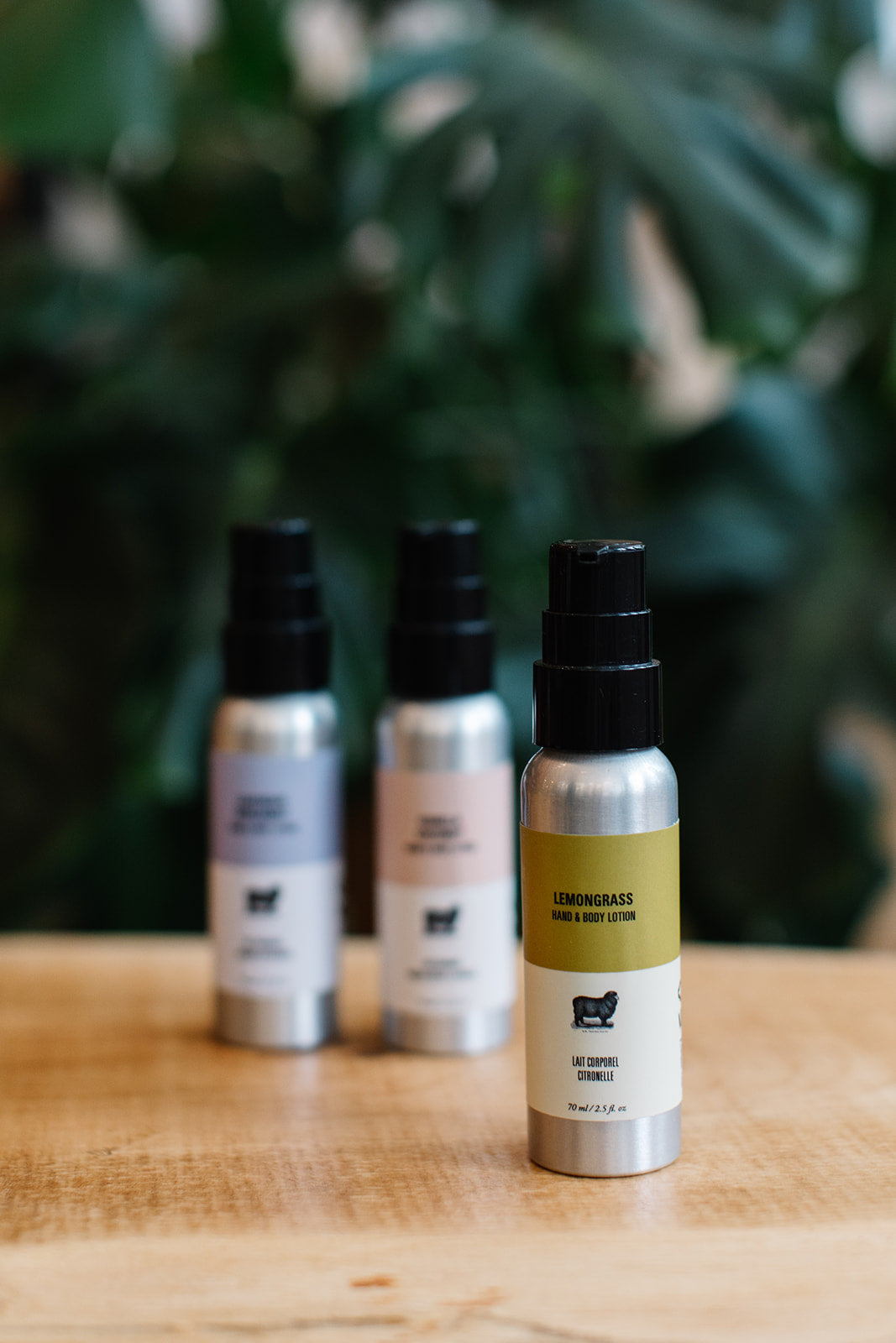 Mini Hand and Body Lotion