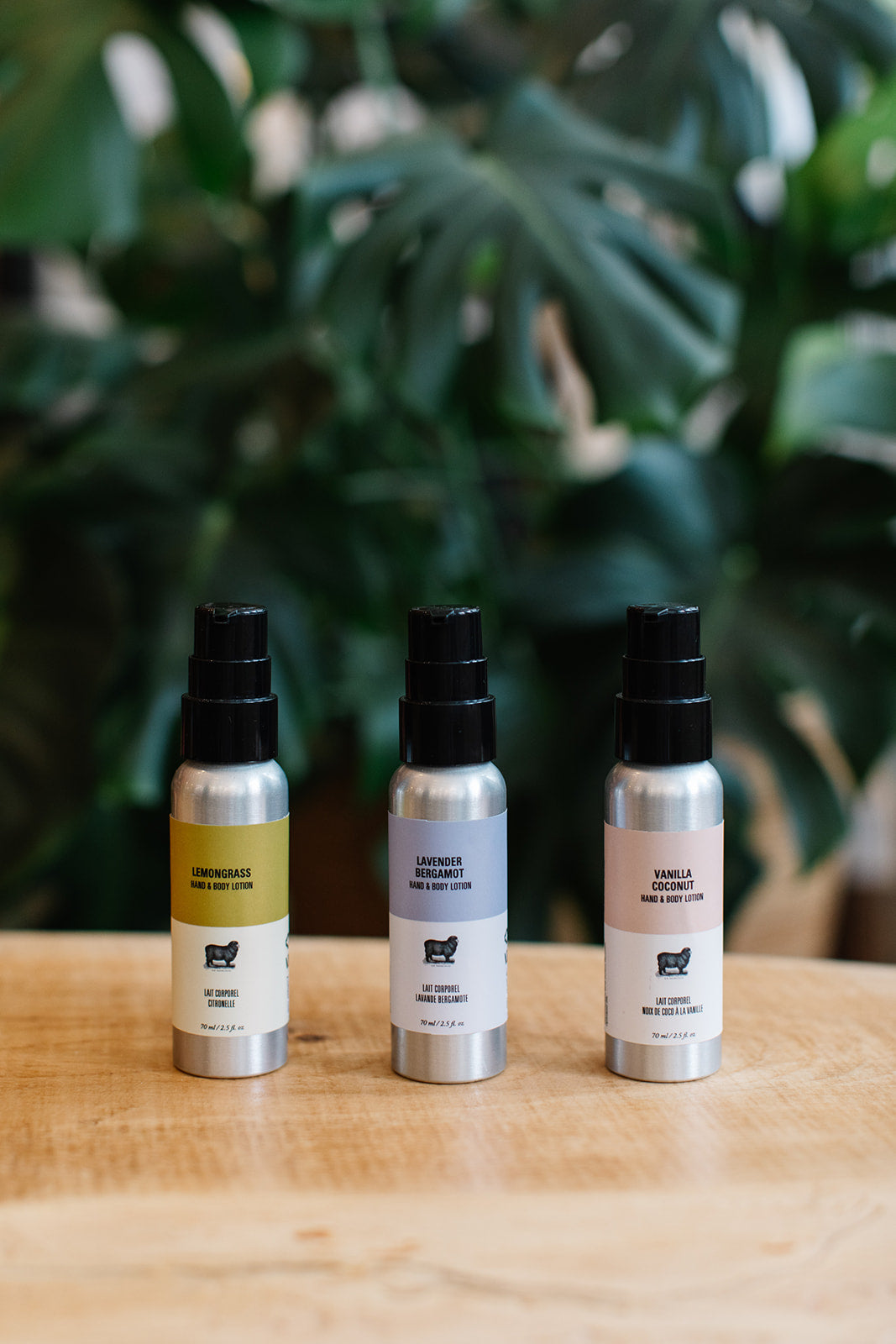 Mini Hand and Body Lotion