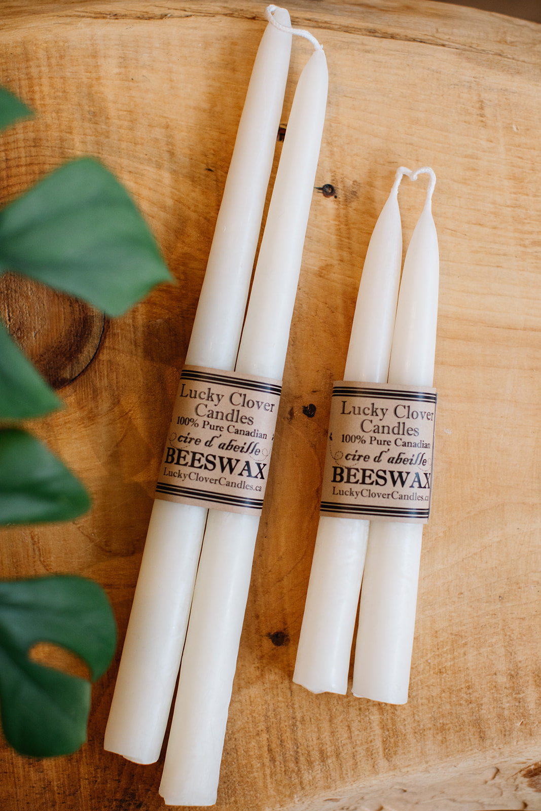 Ivory Beeswax Tapers (8” or 12”)